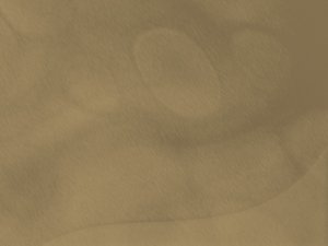 服务选型指南：找到最适合你的方案